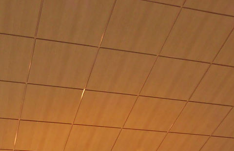 Ligna кромка A15/24 600x600x15 цвет Бук