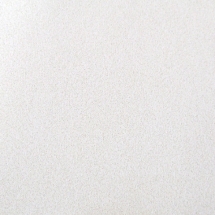 Blanka dB 41 1200x600x35 кромка E15S8